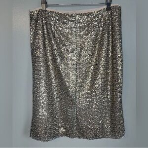Chico’s sequin pencil Stephanie fashion simple shimmer skirt NWOT . B2